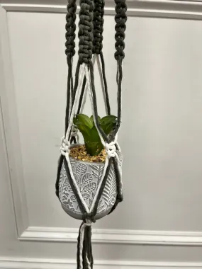 Colorpop Macrame Medium Plant Hanger